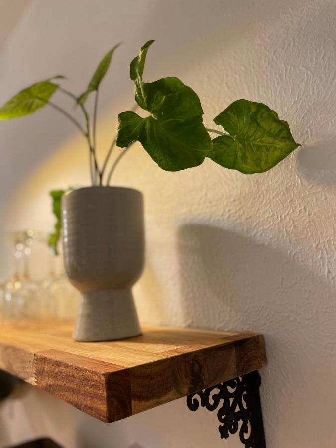 Flora House DEN Extérieur photo